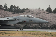 桜とF15