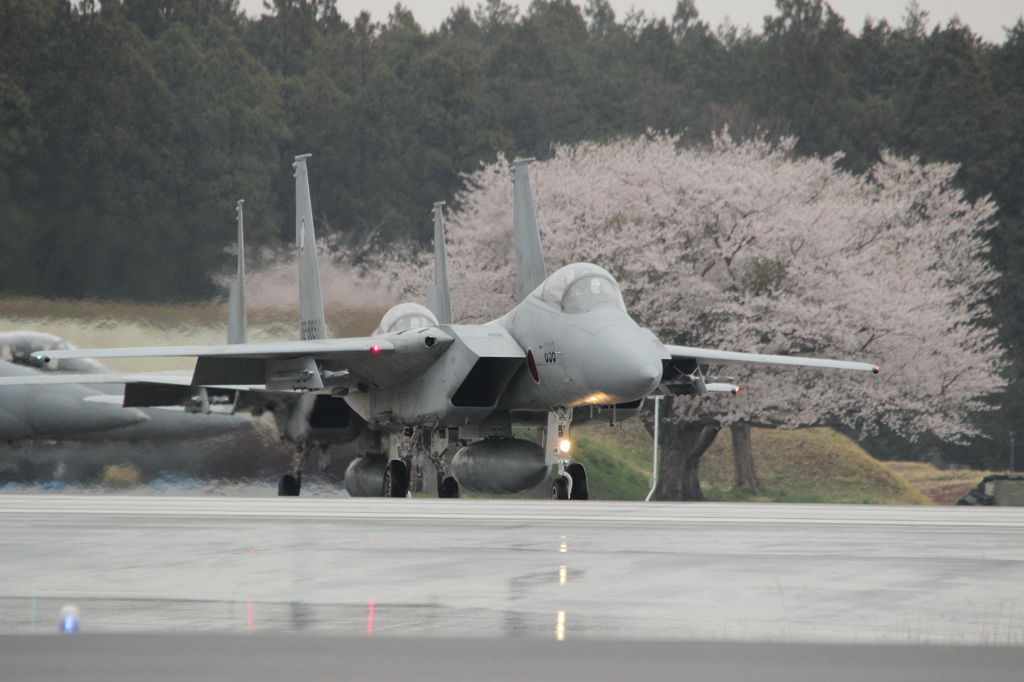 桜とF15