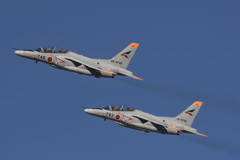 OJIRO T-4