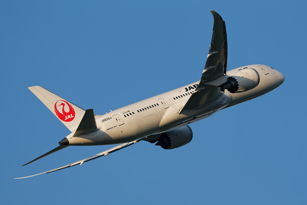 JAL B787