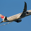 JAL B787