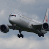  Japan Airlines B787