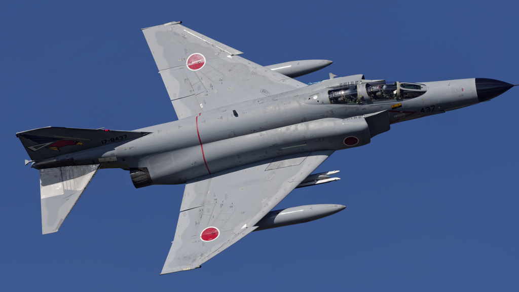 オジロファントムの背中