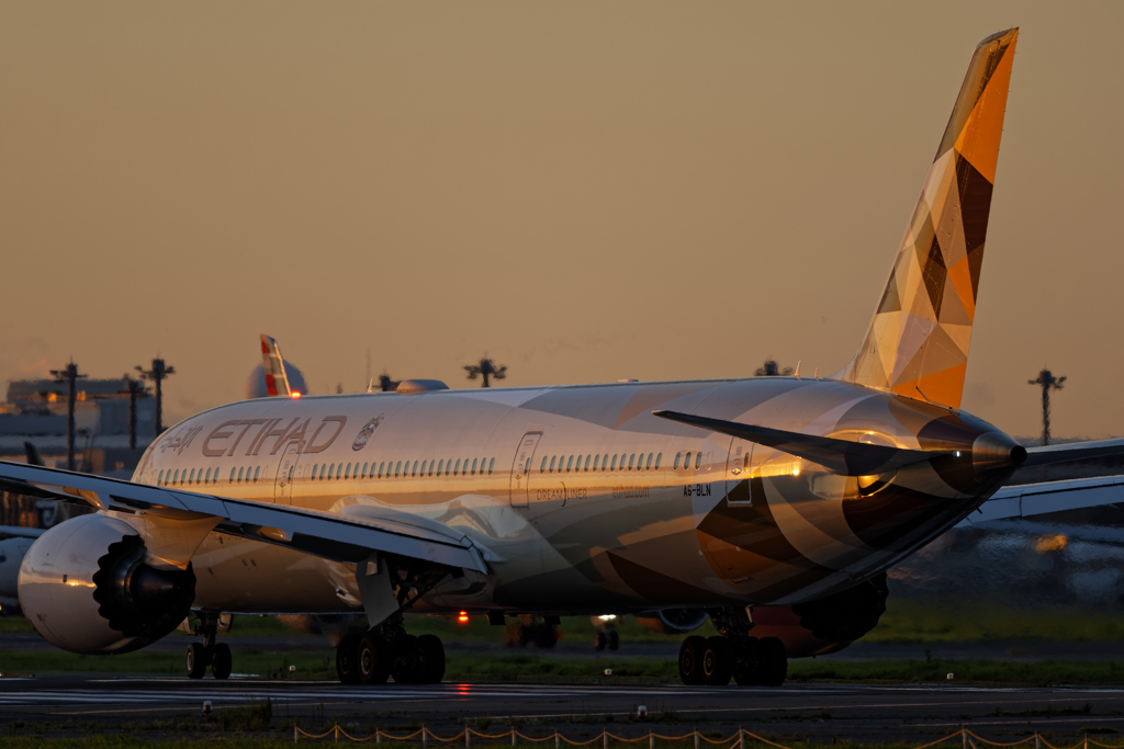 Etihad Airways B787