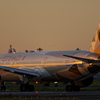 Etihad Airways B787