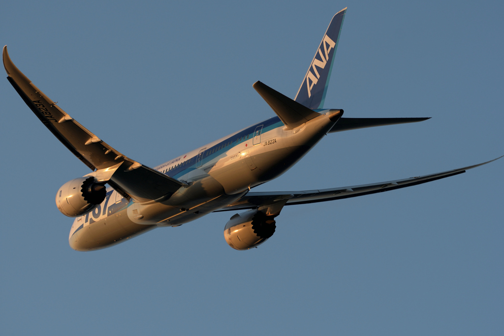 ANA B787