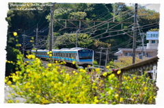 京浜東北線(春)