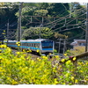京浜東北線(春)