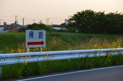 道路
