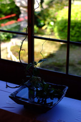 Ai-s Nikkor 50mm F1.2 改
