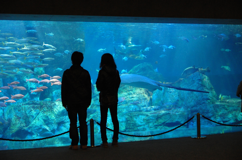 水族館