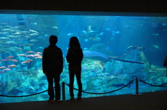 水族館