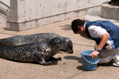 カメラ目線