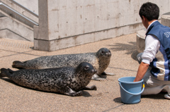 もっとちょうだい