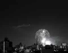 ベランダから大発見