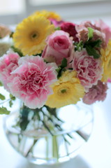 惜別の翌朝の輝き