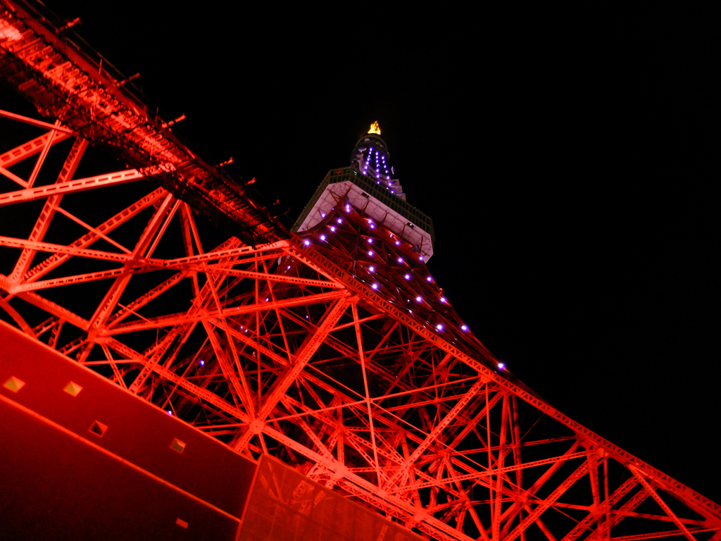東京タワー03