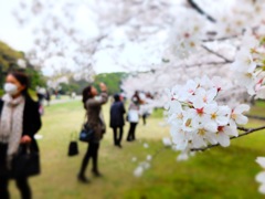 浜離宮恩賜庭園・六義園_6