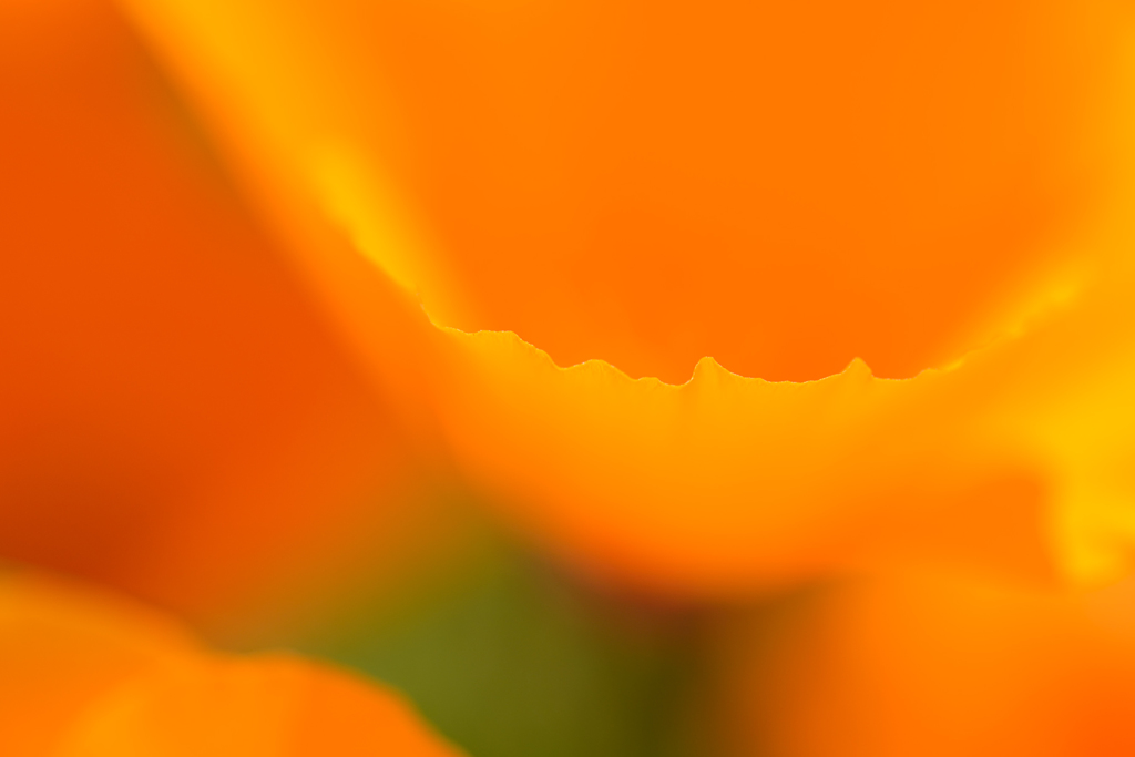 うつろいの稜線