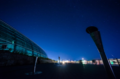 海つくしと星空