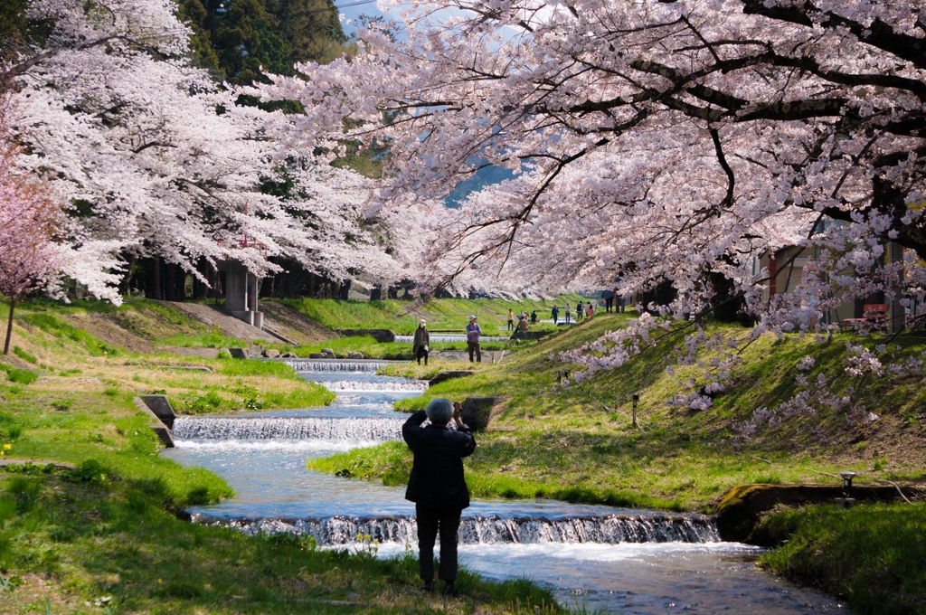 この一瞬を。。。（観音寺川にて）