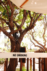 NO SMOKING