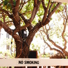 NO SMOKING