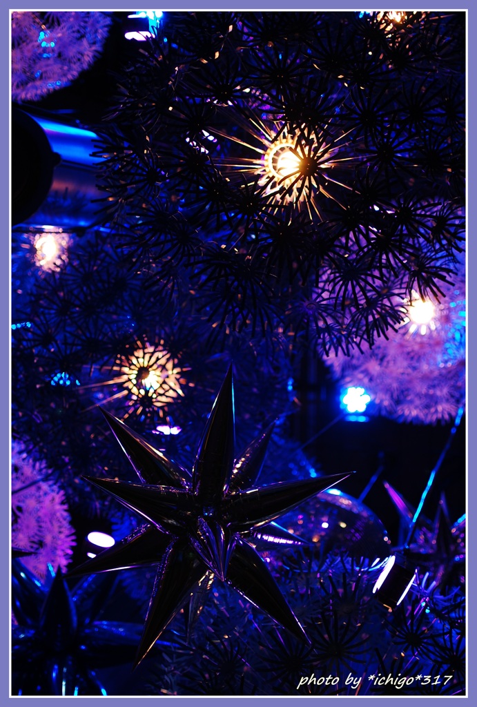 Christmas Night C