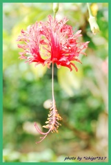 ～手持ち花火～