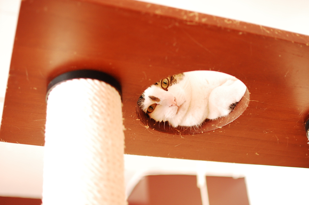 見てますよ！！