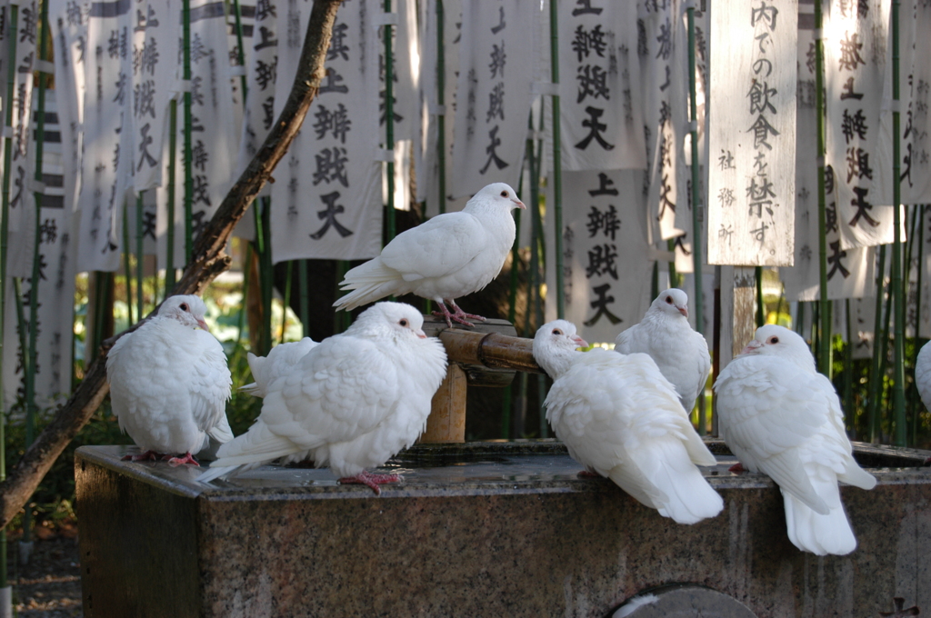 首脳会議 B