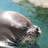 いい湯だな♪