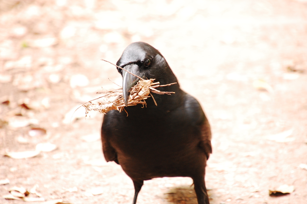 子供が産まれるもので・・・