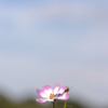～空まで伸びろ～