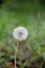 旅立ちはいつ？