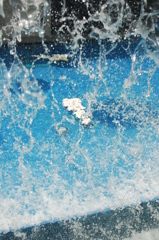 滝の裏からプルメリア