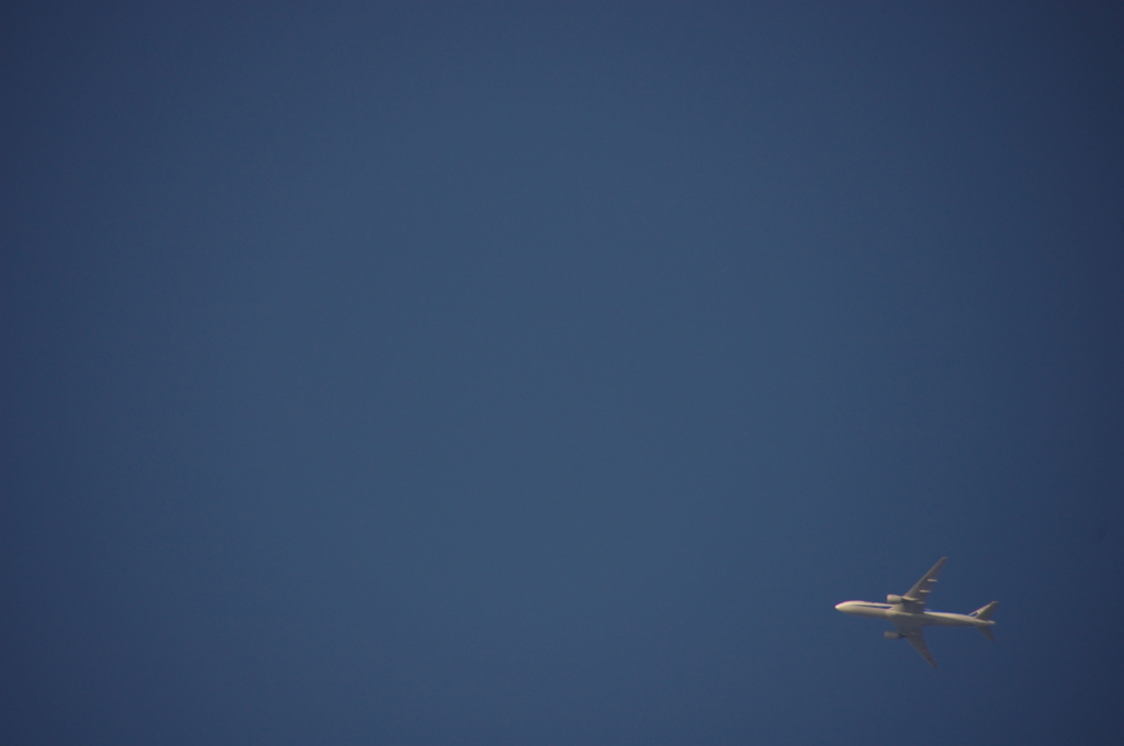 飛行機