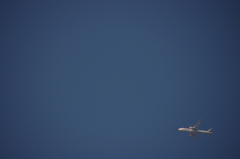 飛行機