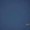 飛行機