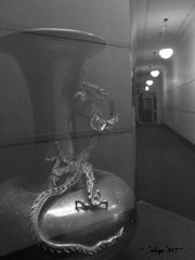 ドラゴンの秘宝