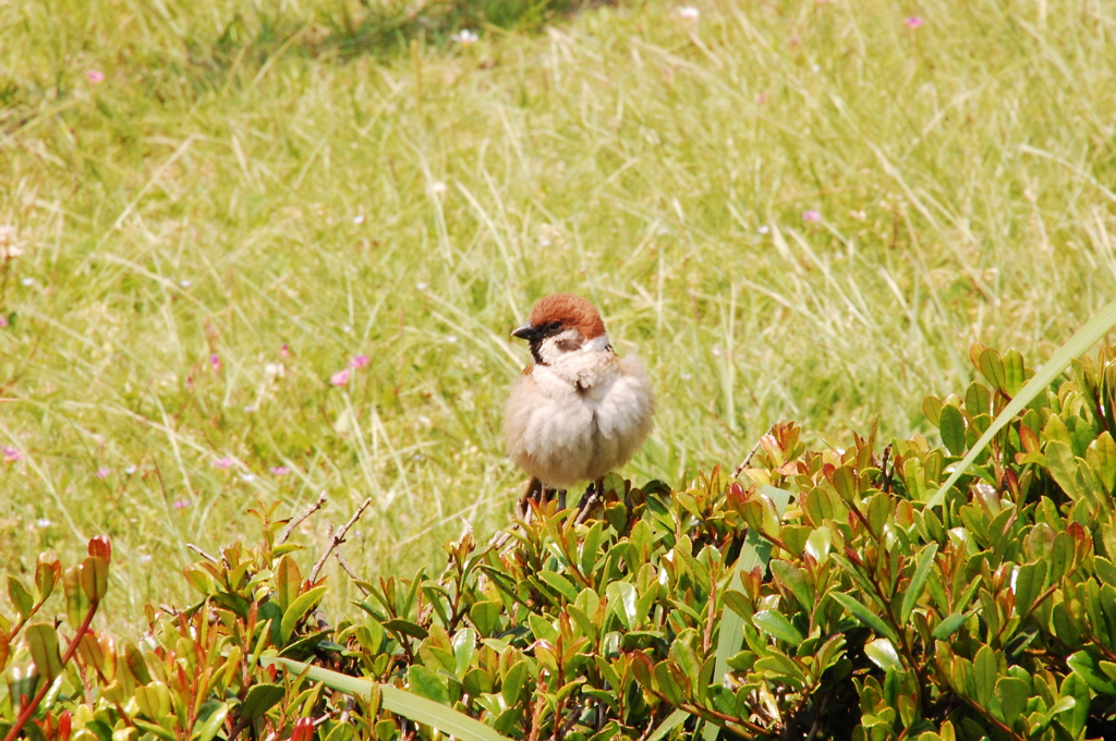 もふもふ・・・