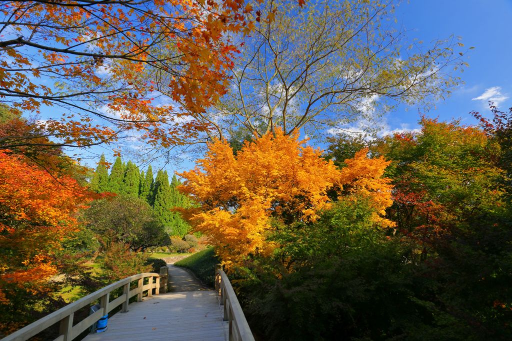 広島空港近くの三景園にて