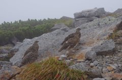 ツールド乗鞍017