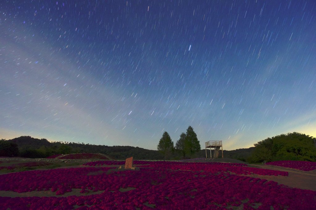 ミッドナイトファンタジー02