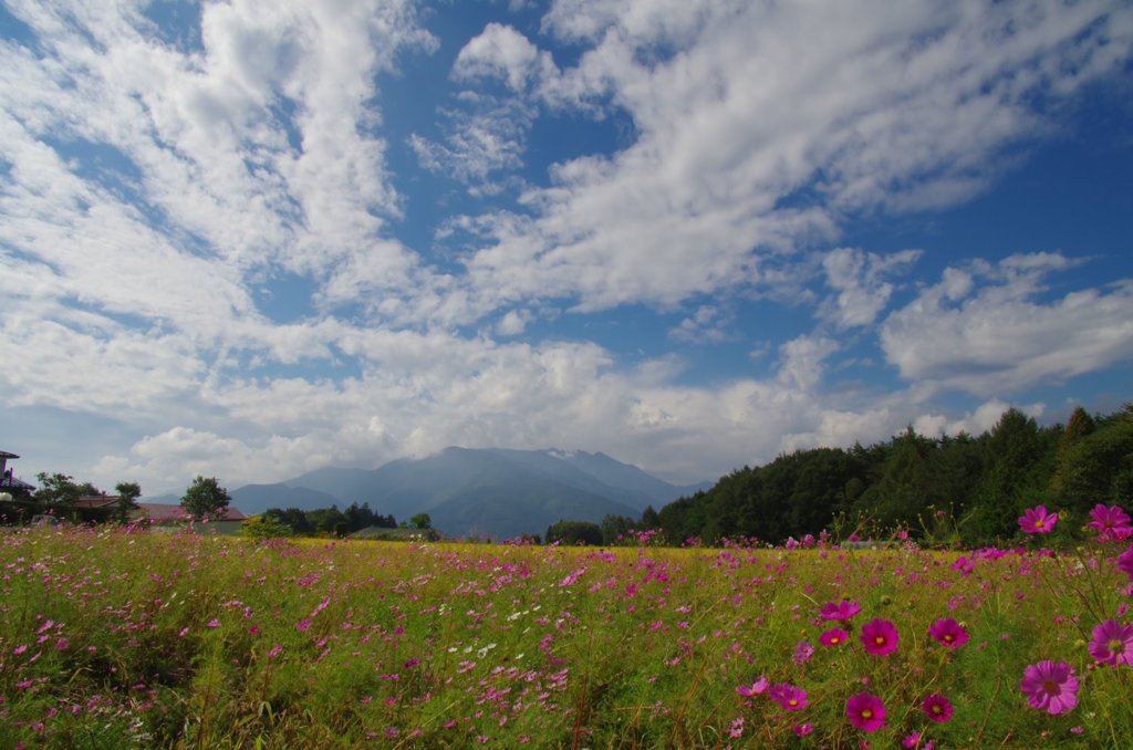 201109_ツールド信州_003