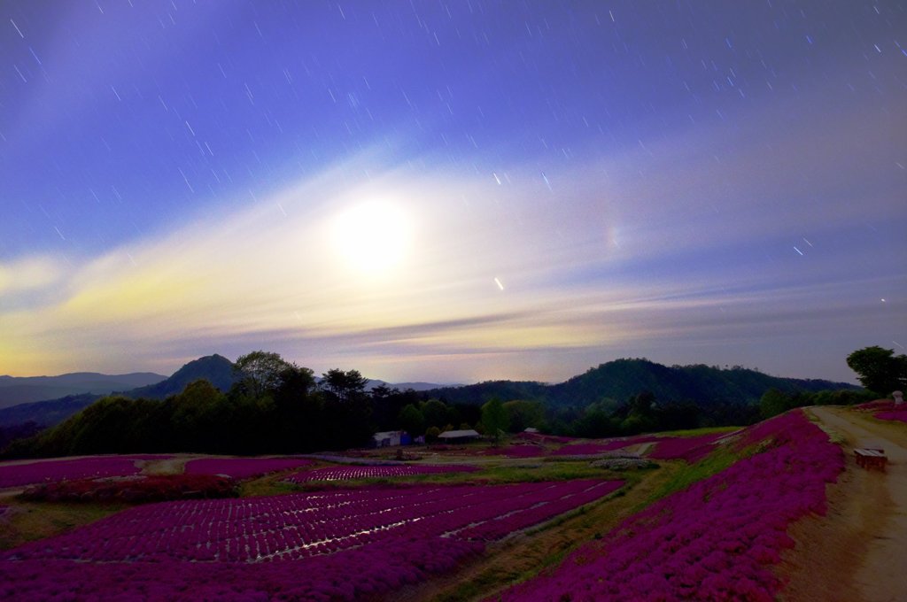 ミッドナイトファンタジー01