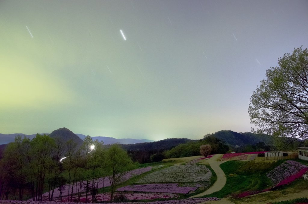 星空と芝桜パッチワークの共演