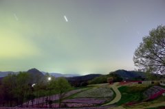 星空と芝桜パッチワークの共演