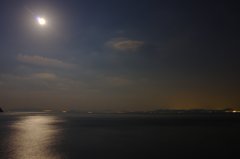 月に照らされる海面