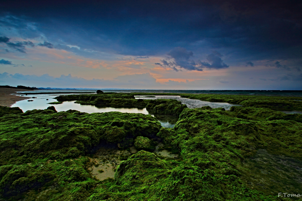 ～seascape　3～